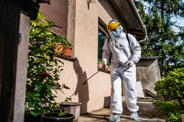 Best Exterminator Services  in Vla Park, IL