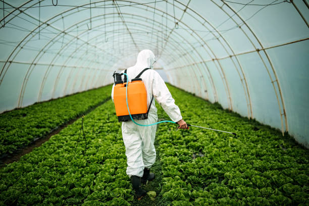 Best Affordable Pest Control Services  in Vla Park, IL