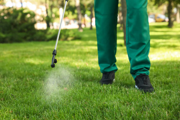 Best Pest Removal Services  in Vla Park, IL