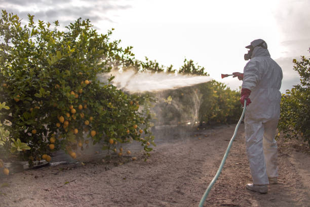 Best Cockroach Control Services  in Vla Park, IL