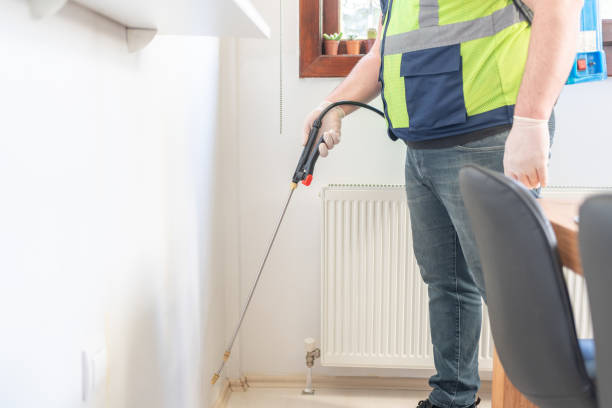 Best Flea Control Services  in Vla Park, IL