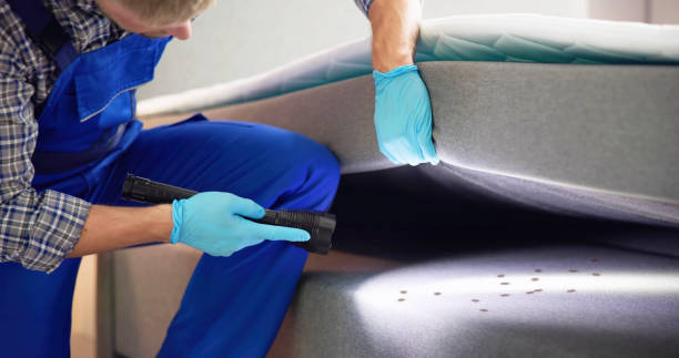Best Pest Control for Homes  in Vla Park, IL