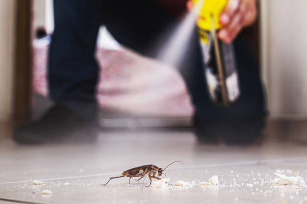 Best Emergency Pest Control  in Vla Park, IL