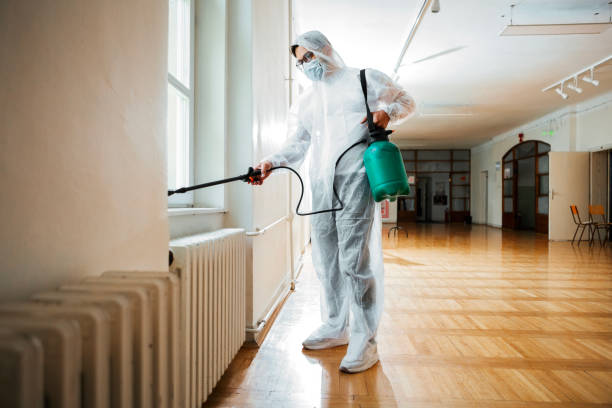 Best Mosquito Control Services  in Vla Park, IL