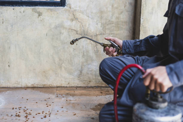 Best Best Pest Control Companies  in Vla Park, IL